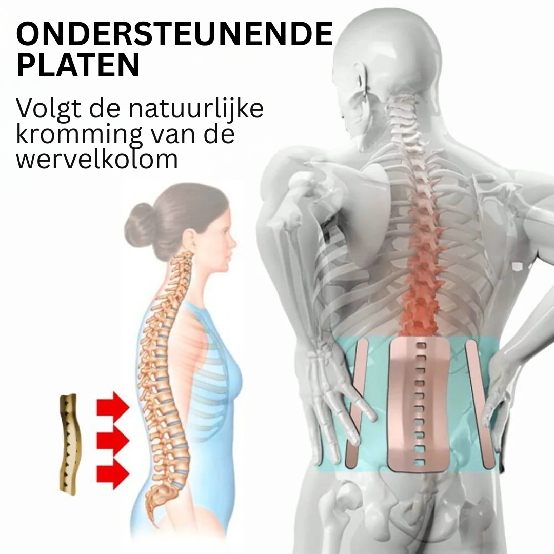 ALTOSPINE™ - STEUN DIE JE IN BEWEGING HOUDT