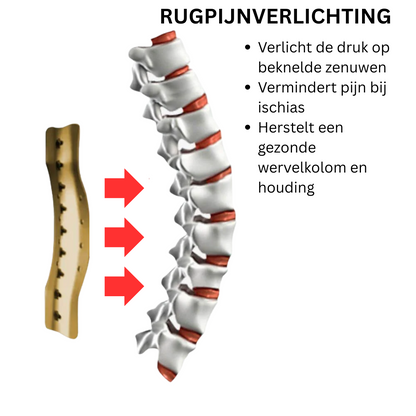 ALTOSPINE™ - STEUN DIE JE IN BEWEGING HOUDT